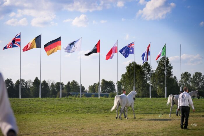 Zakończył się polski sezon pokazowy, a zatem czas na emocje europejskie – Fot. Ewa Imielska-Hebda