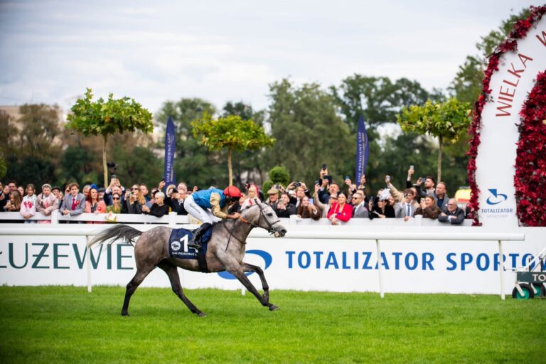 Haseef wygrał pewnie z przewagą 2,5 długości. Fot. Traf Online