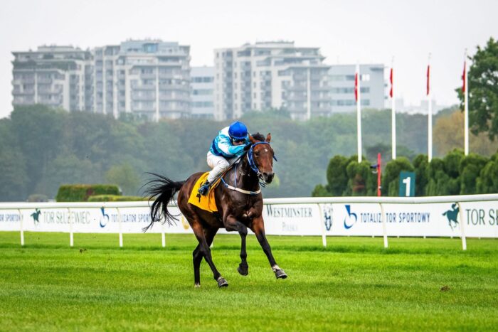 Harry Blue wygrał pod Stefanem Murą od startu do mety.