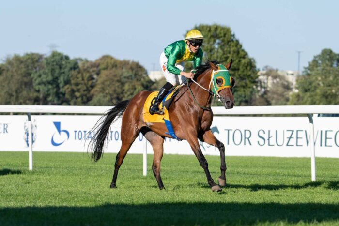 Arima wygrała bardzo łatwo. Fot. Traf Online