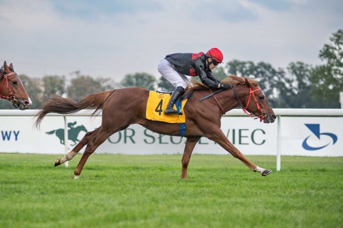 Dosiadany przez Konrada Mazura Addag bronił się w końcówce przed Wagim. Fot Tor Służewiec