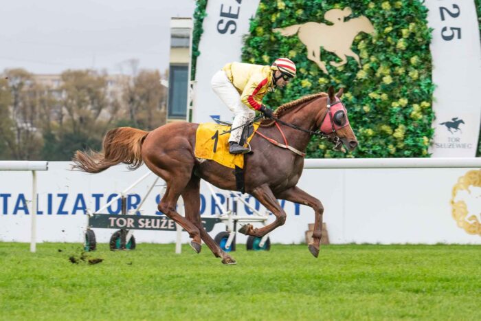 Fruwajacy Fragnar tuż przed metą. Traf Online