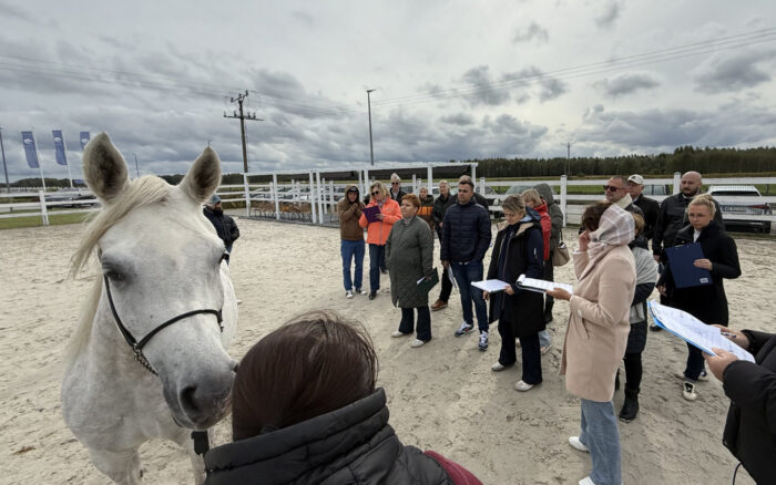 Looking at a horse is no biggie; can you judge one though?