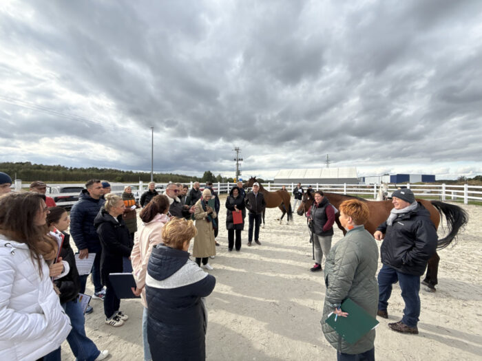 Sometimes the discussions became a little heated, but that's only because judging horses is no easy task