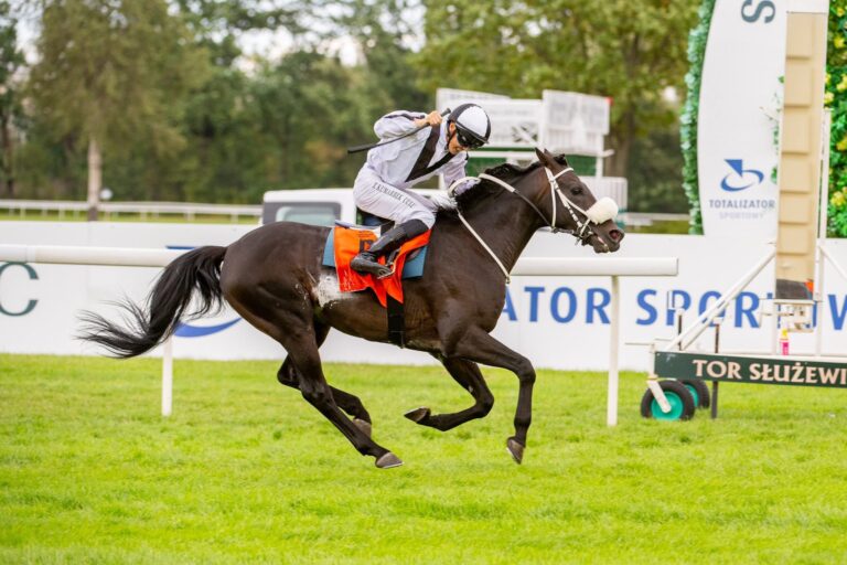 Rasmy Al Khalediah w imponującym stylu wygrał nagrody: Ofira i Europy. Fot. Traf Online