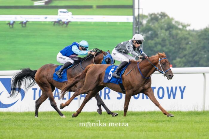 Końcowe metry Derby. Largo Winch przed Elnizo. Fot. Monika Metza