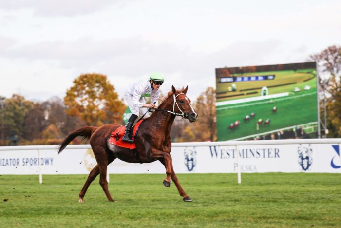 Nagrodę porównawczą niespodziewanie wygrał Love Me de la Cere. Fot Tor Wyścigów Służewiec