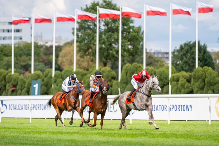 Lindahls Anakin sprawił dużą niespodziankę, pokonując Power Bolta i Vasmy'ego Al Khalediah. Fot. Tor Wyścigów Służewiec