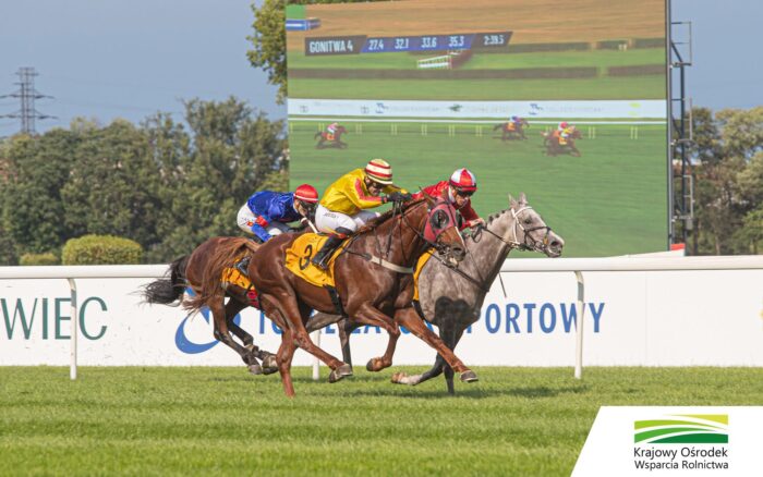 Fragnar (nr 3) pokonał Lindahlsa Anakina w biegu o Nagrodę Figaro. Fot Traf Online