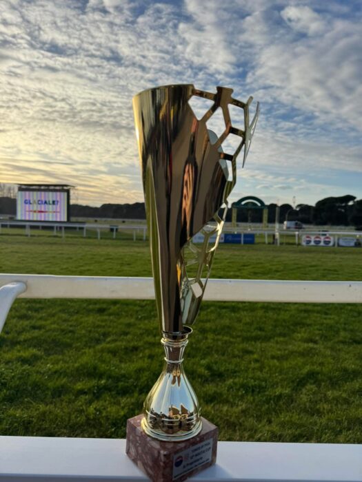 Trofeum za zwycięstwo