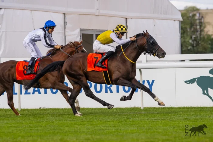 Najpierw była sensacja w Janowa. Fot. Nie Tylko Galop