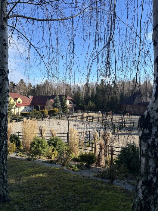 To, co zaczęło się za dzieciaka w Klikowej, po latach przerodziło się w prywatny raj na ziemi, którym jest stadnina Podlesie Arabians – Fot. archiwum rodzinne